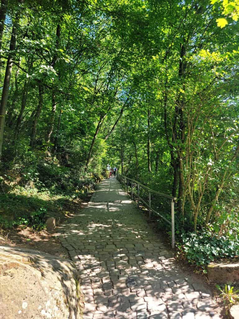 A cobblestone hiking trail through the woods