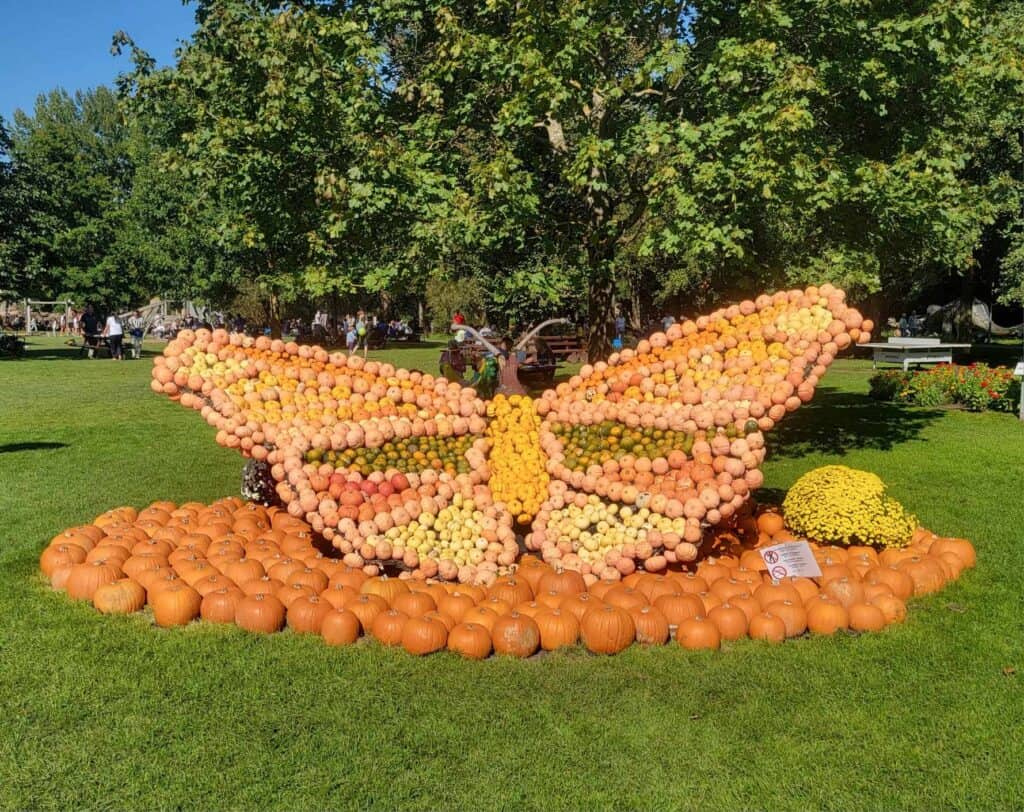 A large butterfly made of pumpkins