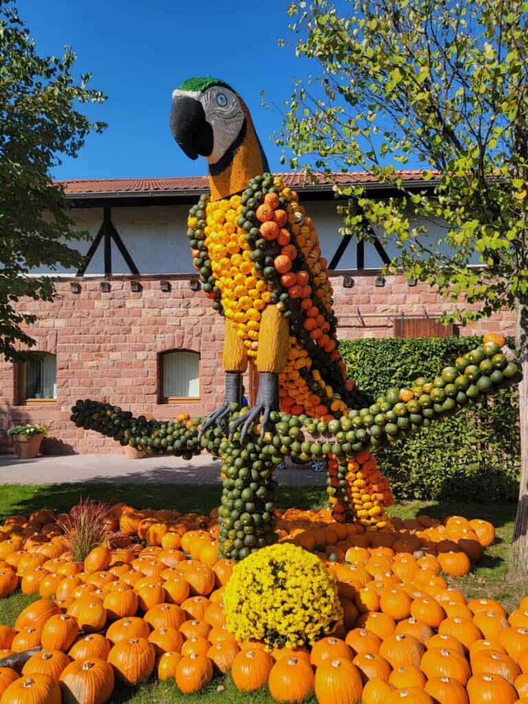 A huge parrot on a branch, all made of pumpkins