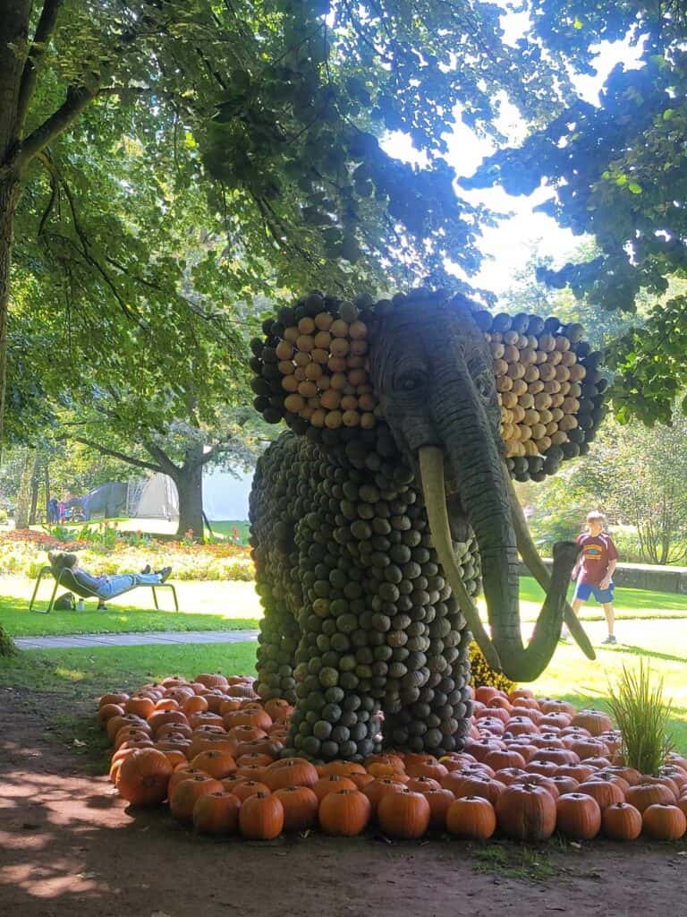 A large elephant made of pumpkins