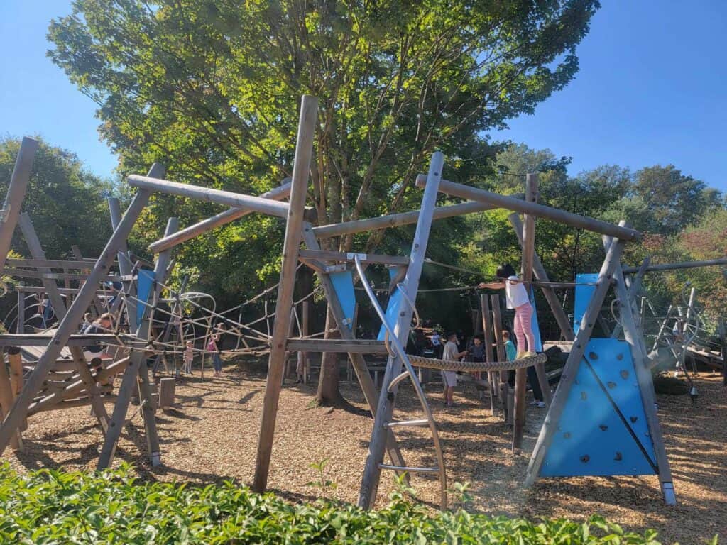 Kids on playground equipment