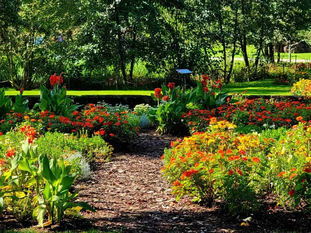 A mulched trail leading between beds of red, orange, and yellow flowers