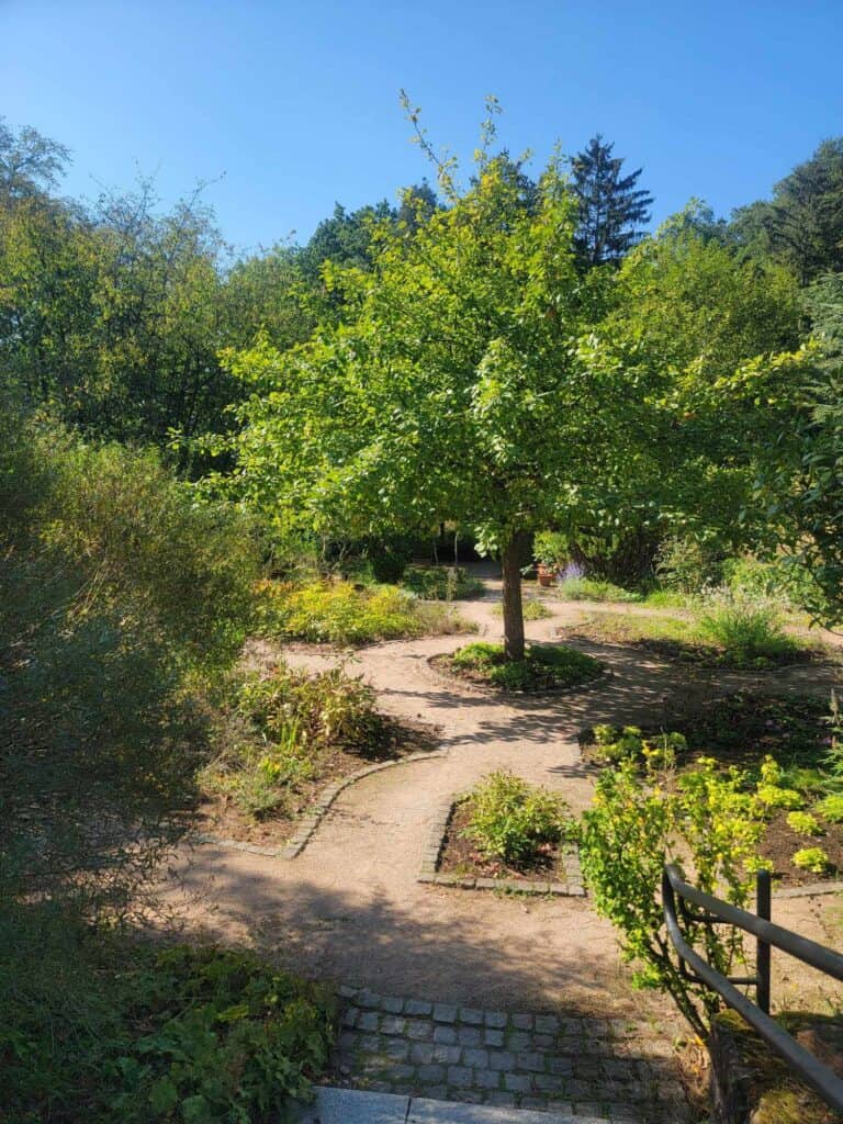 The Bible Garden at the Dinopark Kaiserslautern with paths and Biblical trees and plants