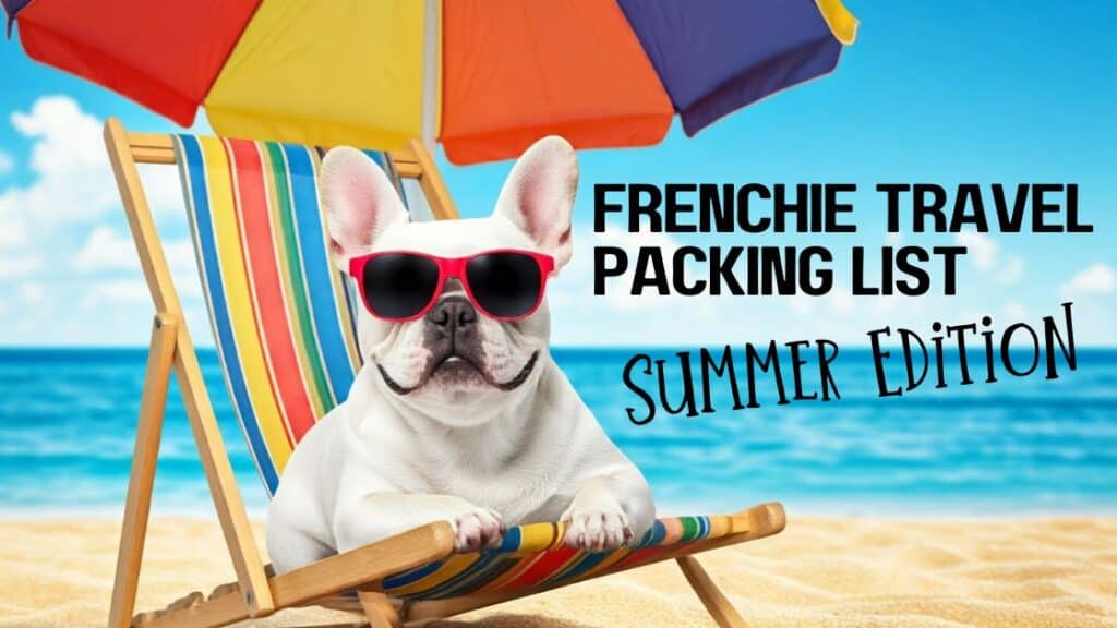 Traveling with a french bulldog