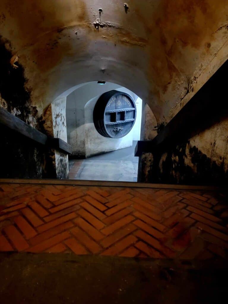 A herringbone red brick floor looking down a flight of stairs to a limestone cave with a huge wine barrel