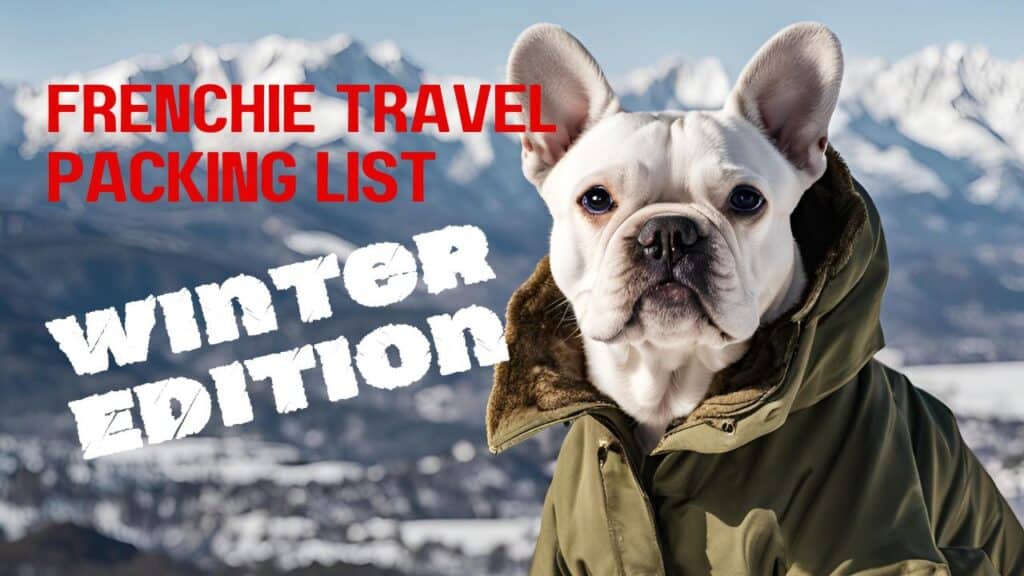 Traveling with a frenchie