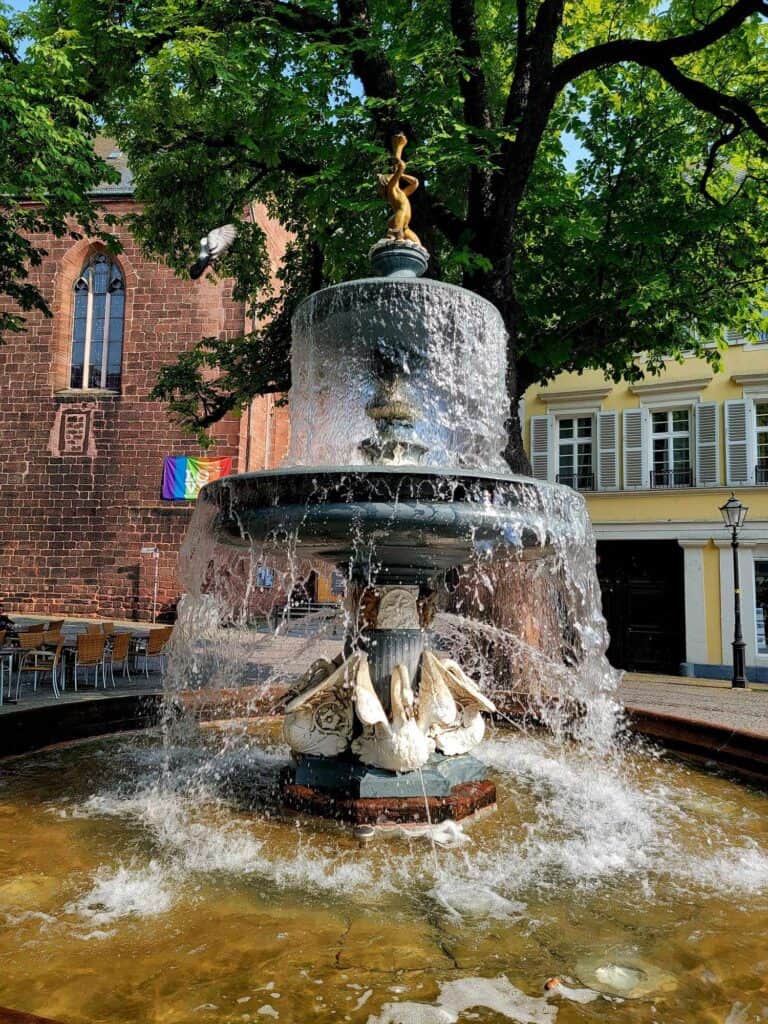 The swan fountain in St Martins Platz with the church behind