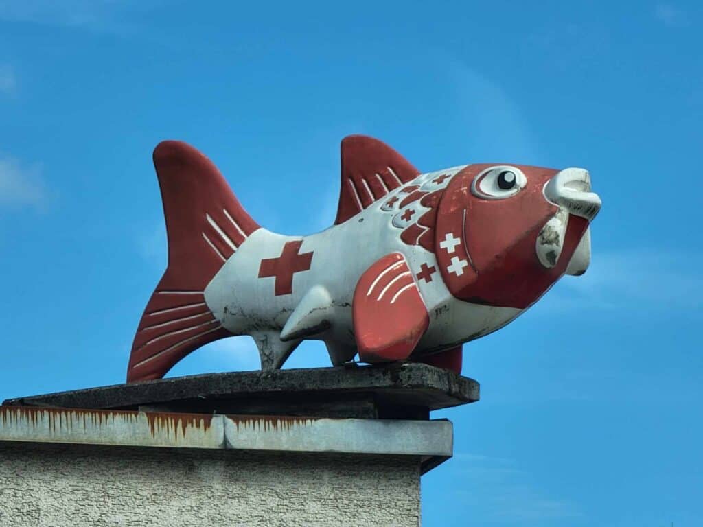 A huge carp in red and white on the red cross building