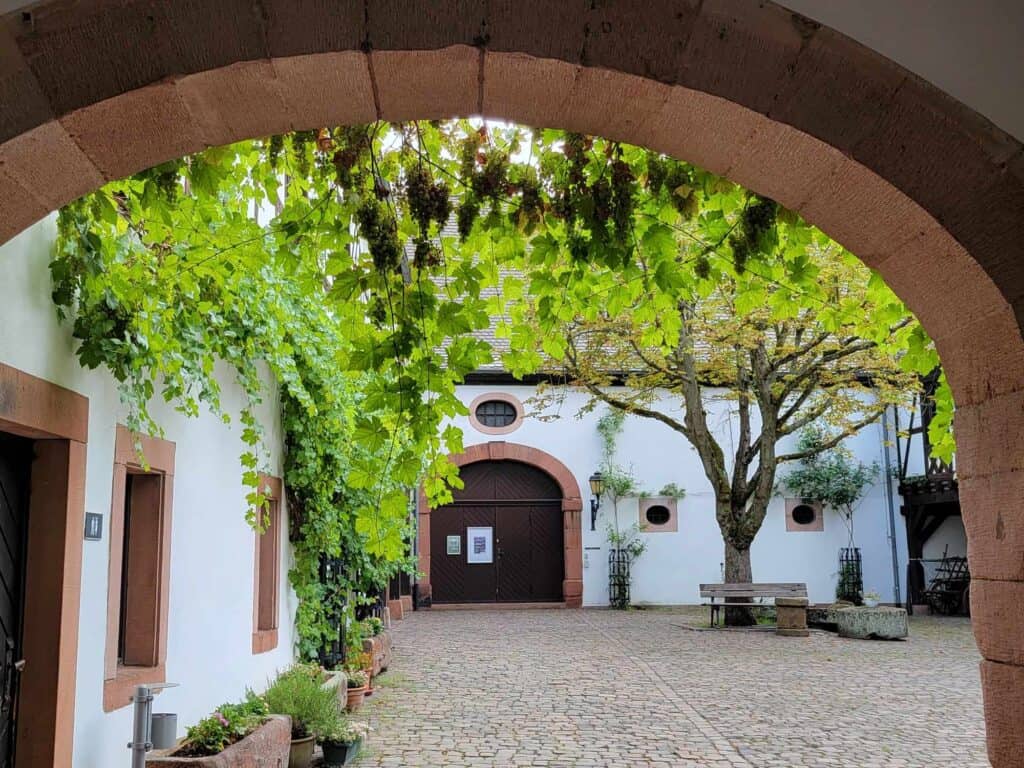 Looking through a sandstone arch into a courtyard with hanging grapes on a vine