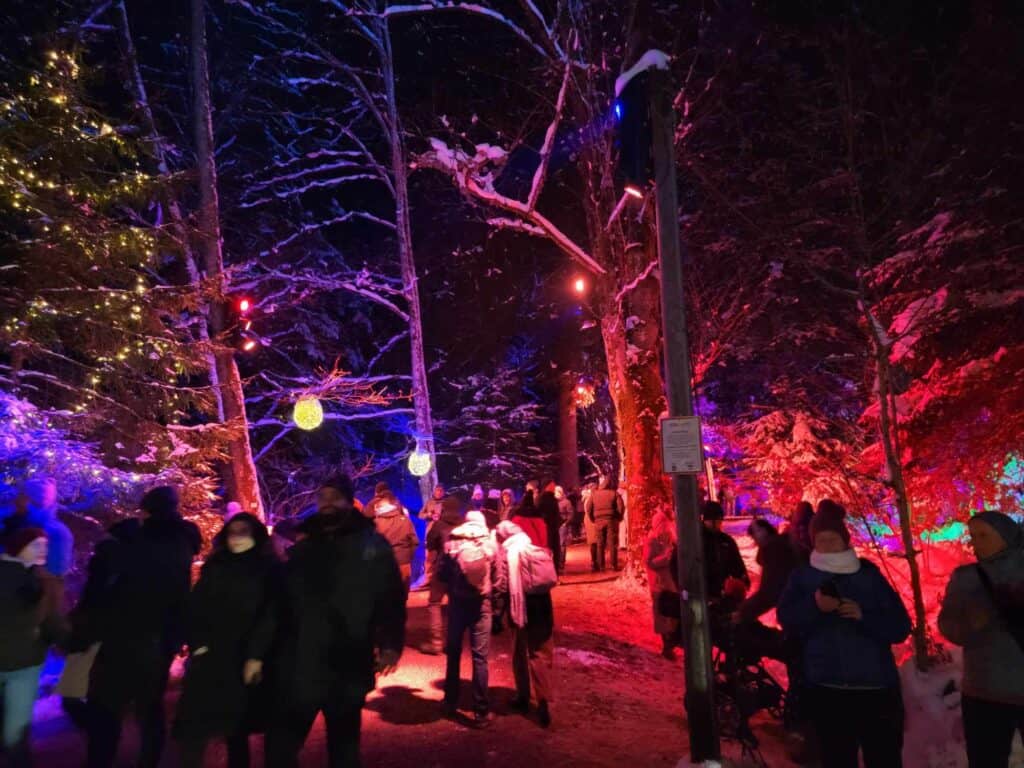 A woodland illuminated in red with people moving up a trail