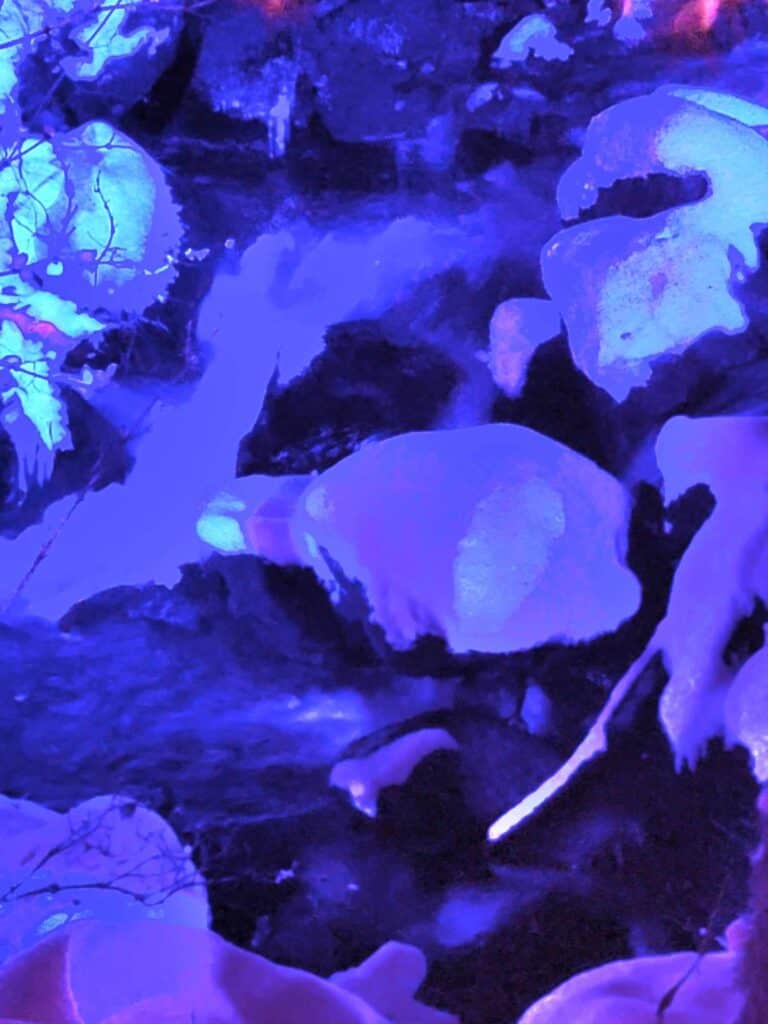 A creek with snow-covered boulders and trees illuminated in blue