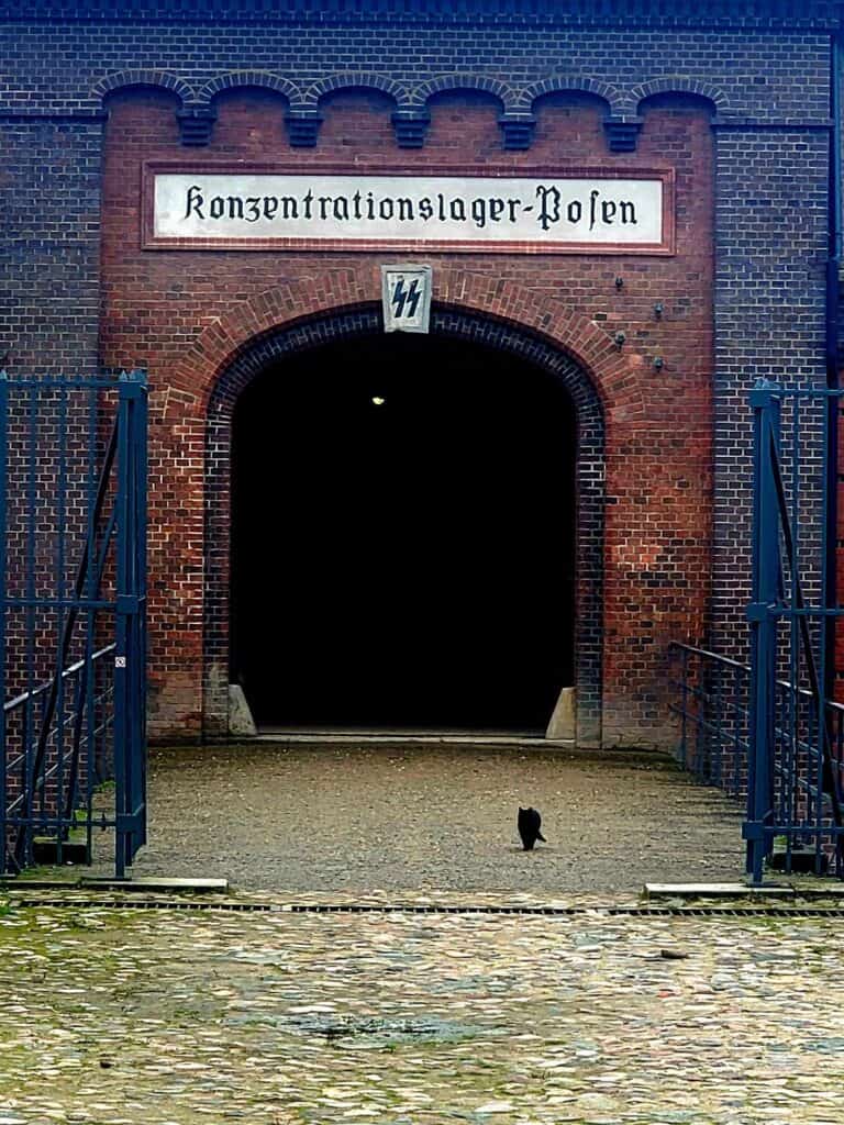 A black cat walks through the gates of a brick building with an arched entrance and a sign reading "konzentrationslager - Polen" with the SS symbol underneath