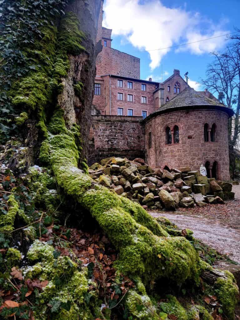 The exterior of a red stone castle with a huge pile of rubble in front and a large tree covered in moss