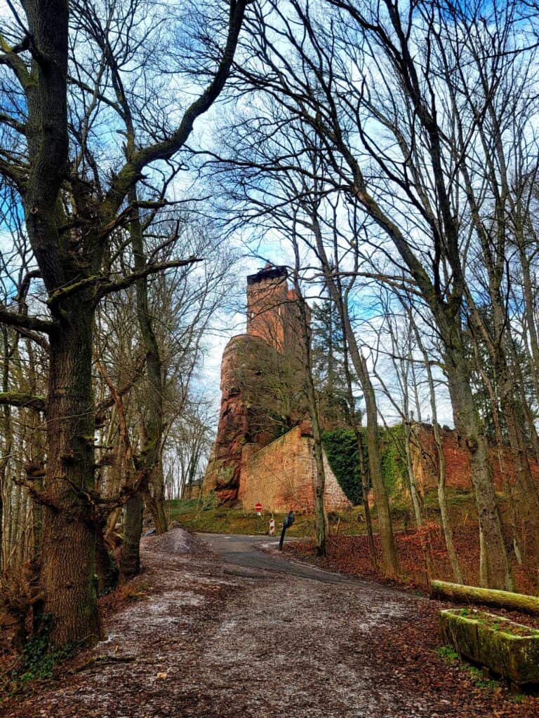 A sloped driveway looking up at the castle through the trees