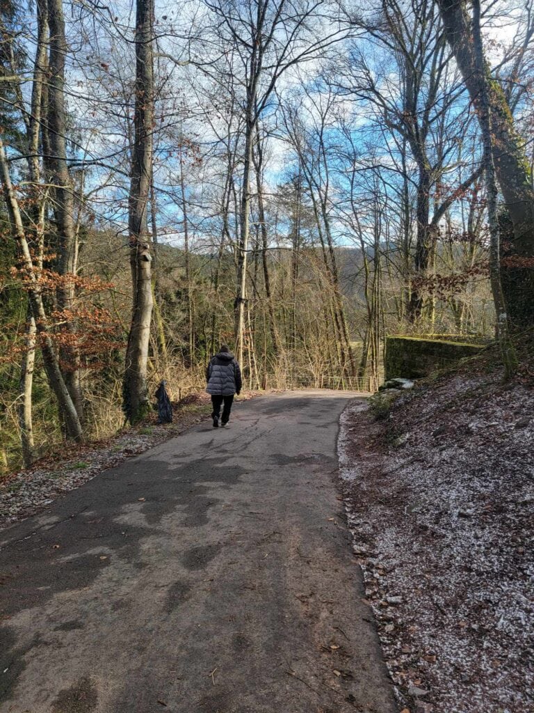 A man walking down a sloped driveway with trees on both sides