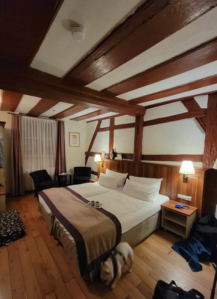 A timbered room with a wooden floor and a double bed. A french bulldog explores the room