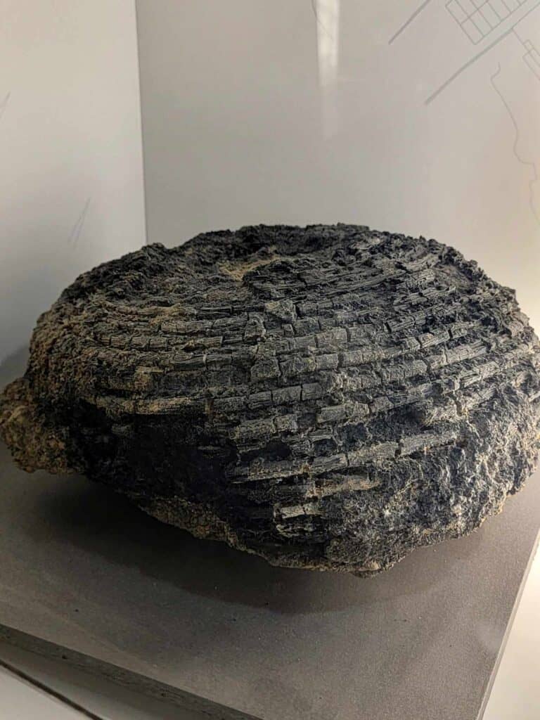 Pompeii vs. Herculaneum: Best Tips & Biggest Differences 25 A black. carbonized round wicker basket from Herculaneum