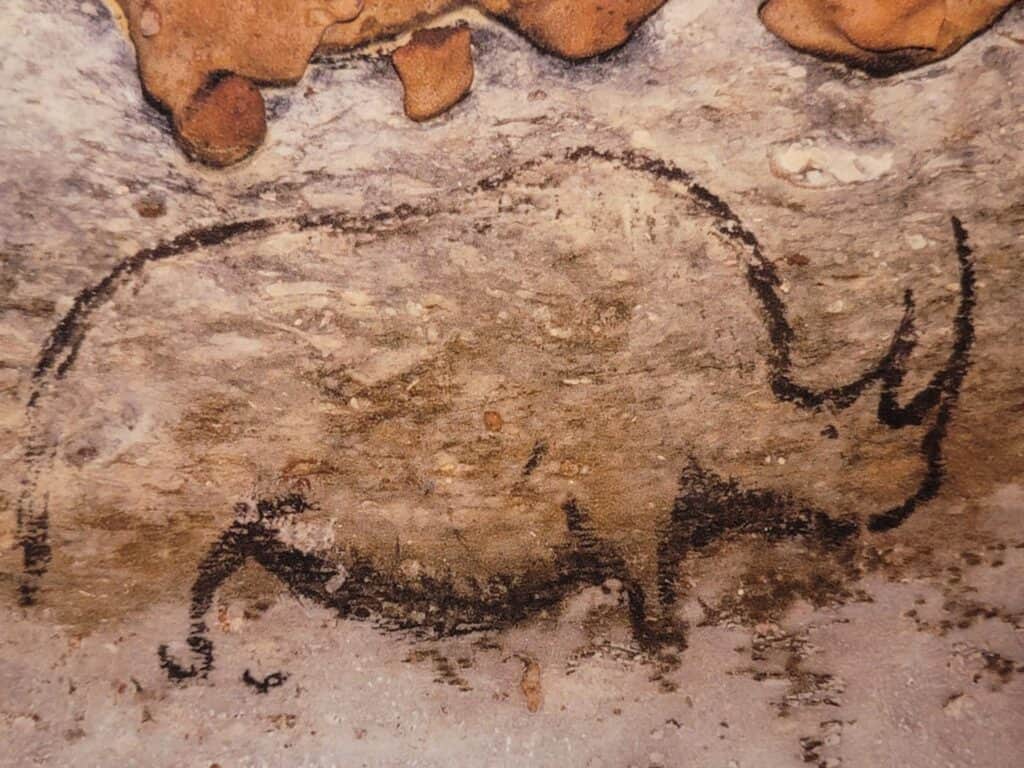 Best 2 Day Dordogne Prehistory Itinerary: What to See & Do 11 A charcoal drawing of a woolly rhino from the side