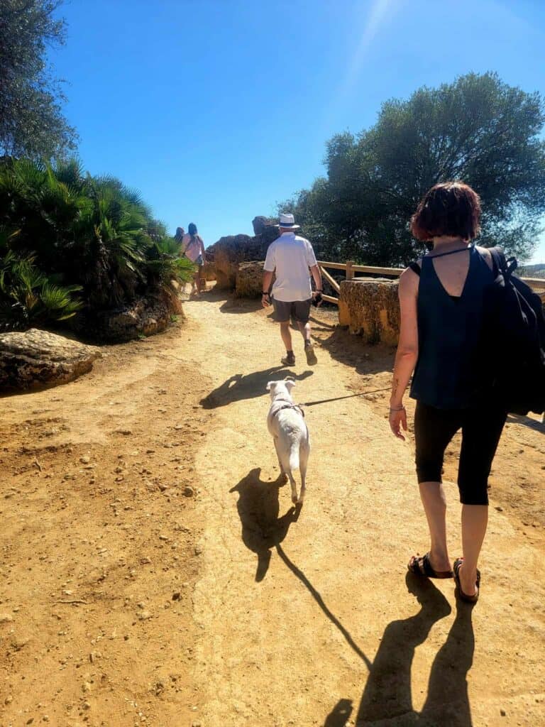 A woman walking a dog at the Valley of the Temples in Sicily