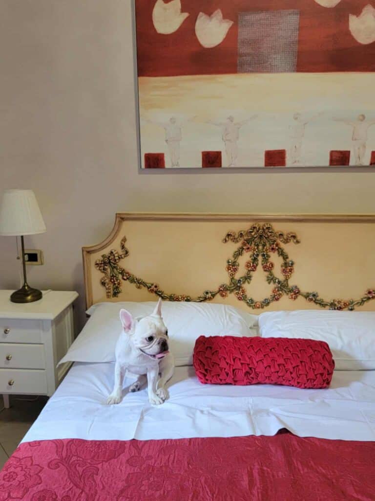 Dog on a bed in Garibaldi Relais in Sciacca