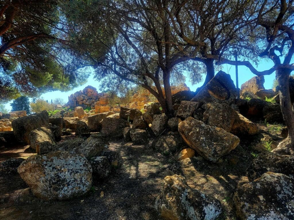 Olive trees and rubble in the Valley of the Temples