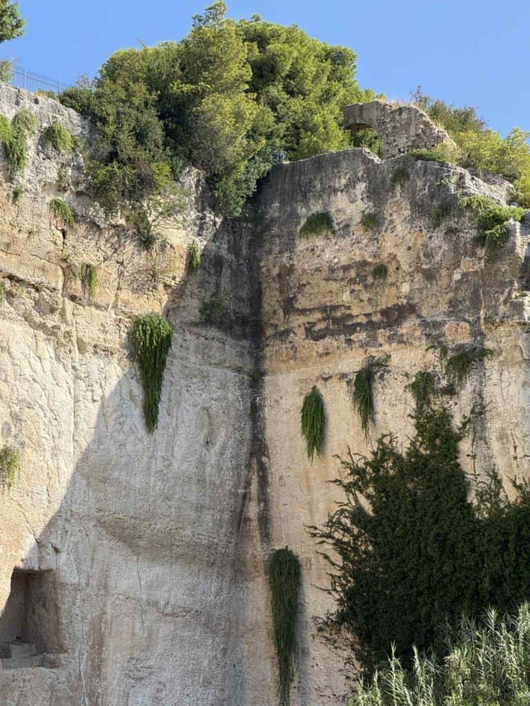 syracuse archaeological park caper plants