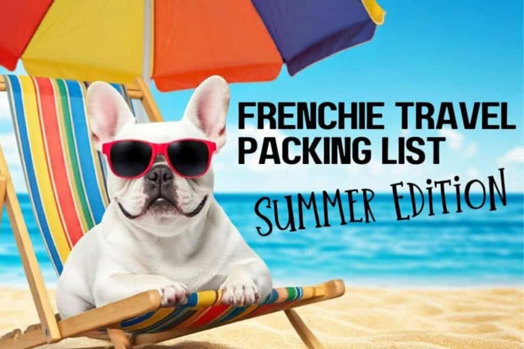 A graphic design of a frenchie in sunglasses sitting in a beach chair