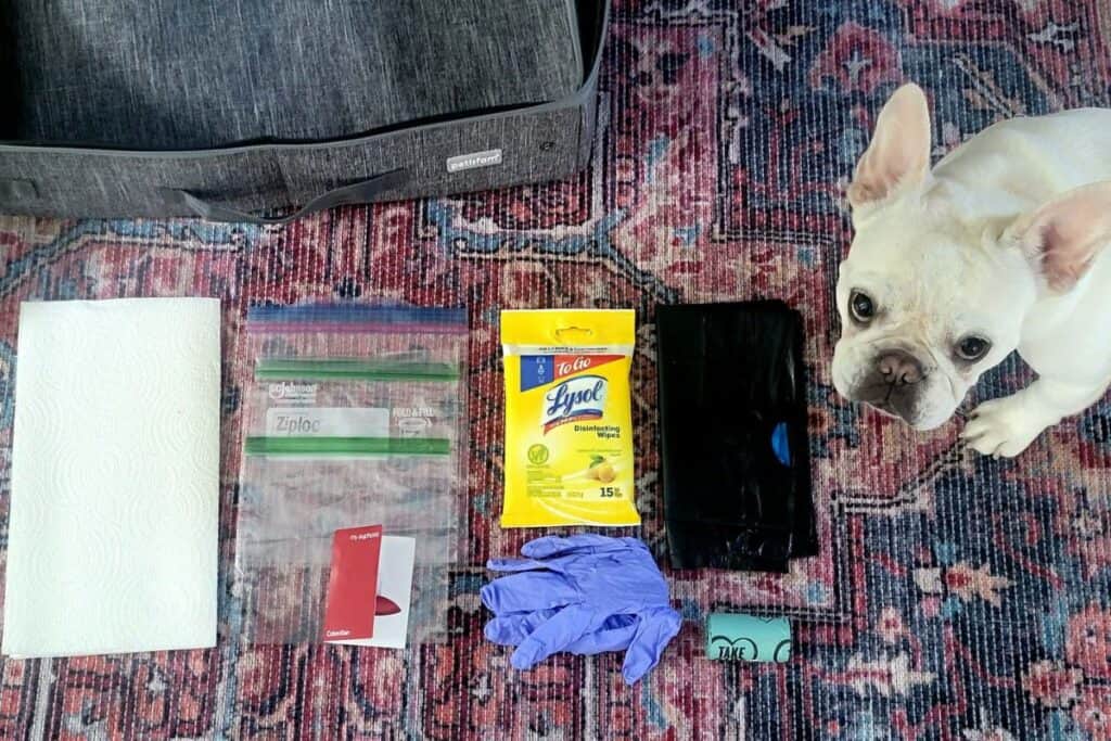 A dog standing by various packing essentials and a suitcase