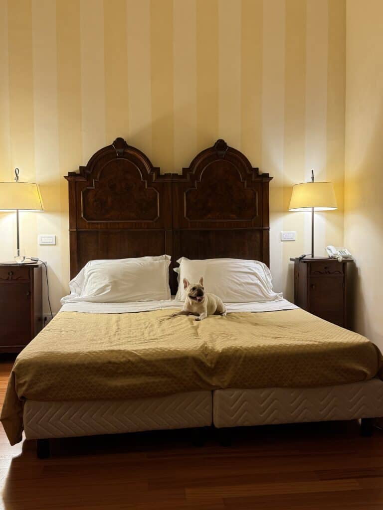 Dog at Borgo San Rocco