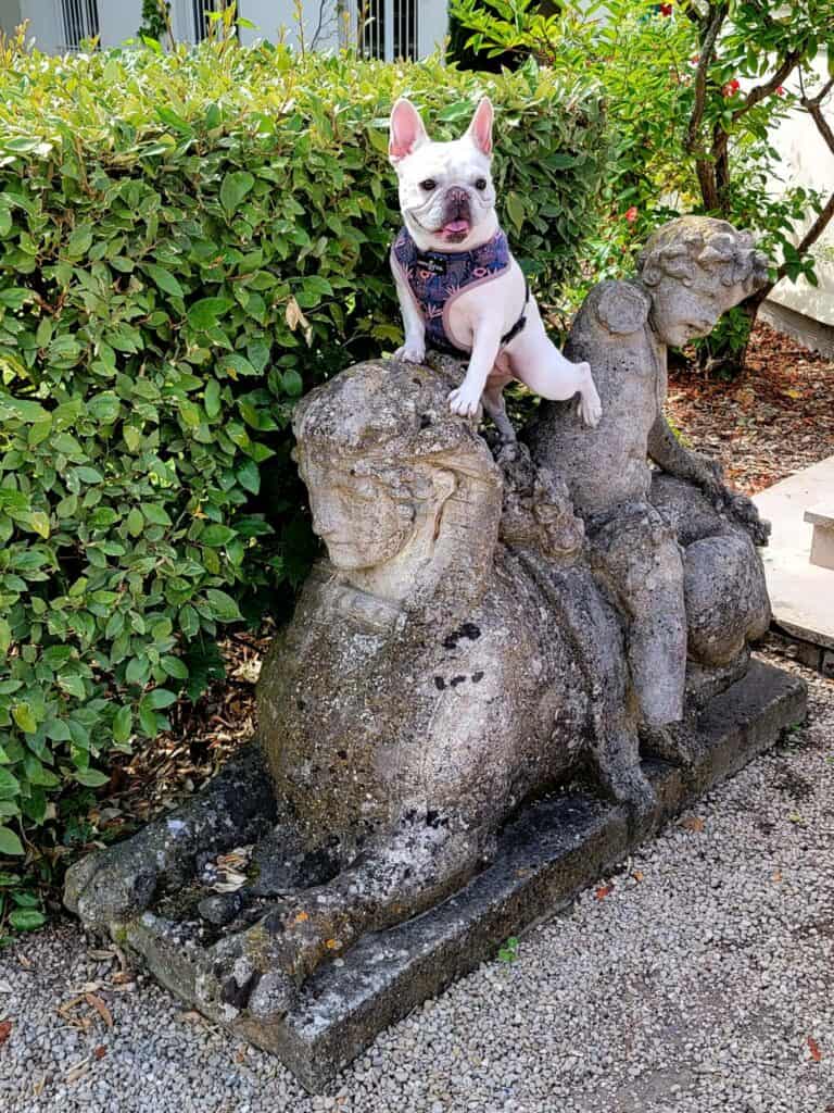 A dog sitting atop a garden sphinx at the Waldorf Astoria Trianon Palace Versailles