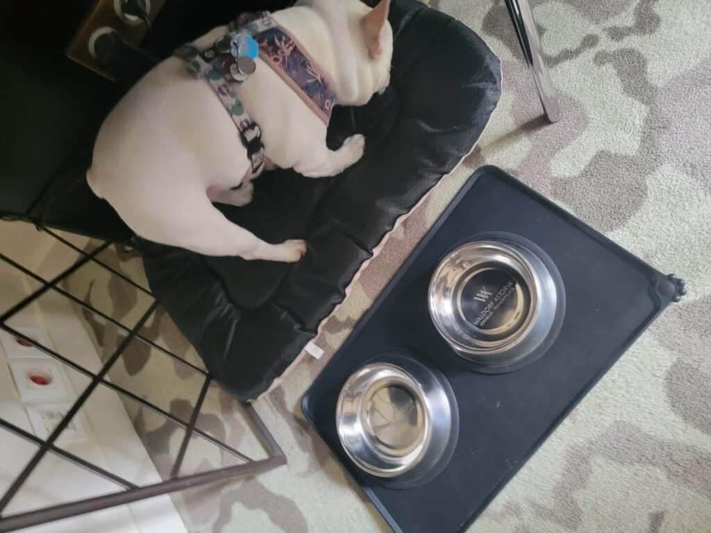 A velvet dog bed and silver bowls at the Waldorf Astoria Trianon Palace Versailles