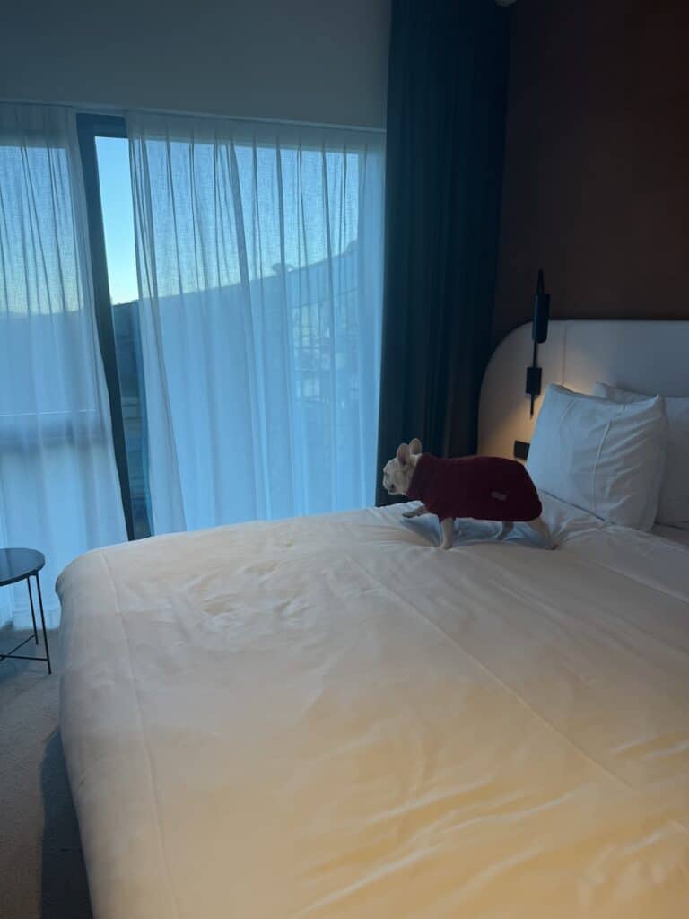 Ghent Christmas Market 2026: Belgium's Best Kept Secret 26 Dog-friendly rooms at the Van der Valk Hotel in Ghent