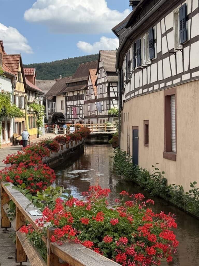Burg Trifels: Is it Worth the Climb? 19 Canal and half timber buildings in Annweilier, Germany