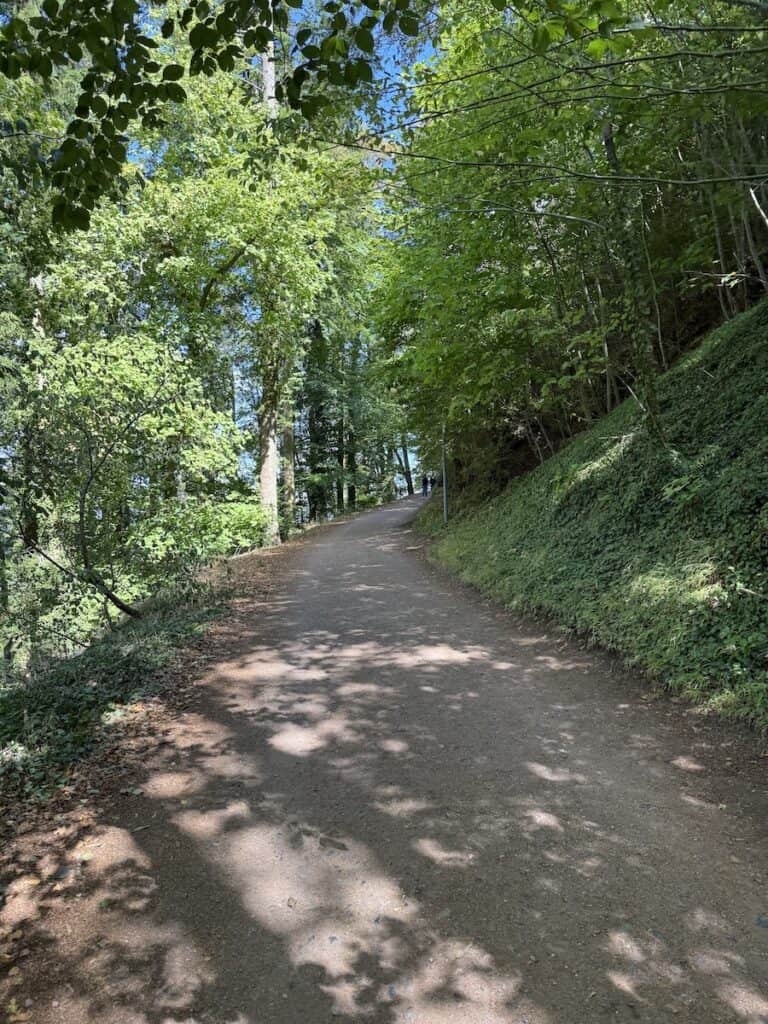 Burg Trifels: Is it Worth the Climb? 4 A wooded trail leading to Burg Trifels